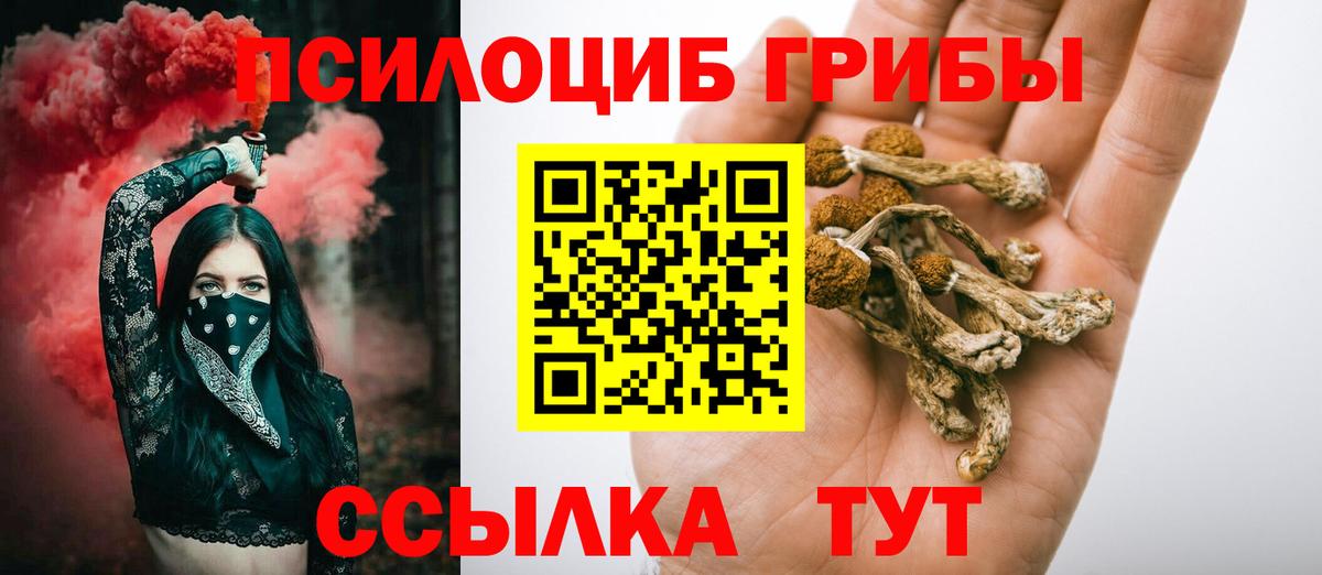 Апрелевка  купить закладку  Вход с VPN  Псилоцибиновые грибы Magic Shrooms 